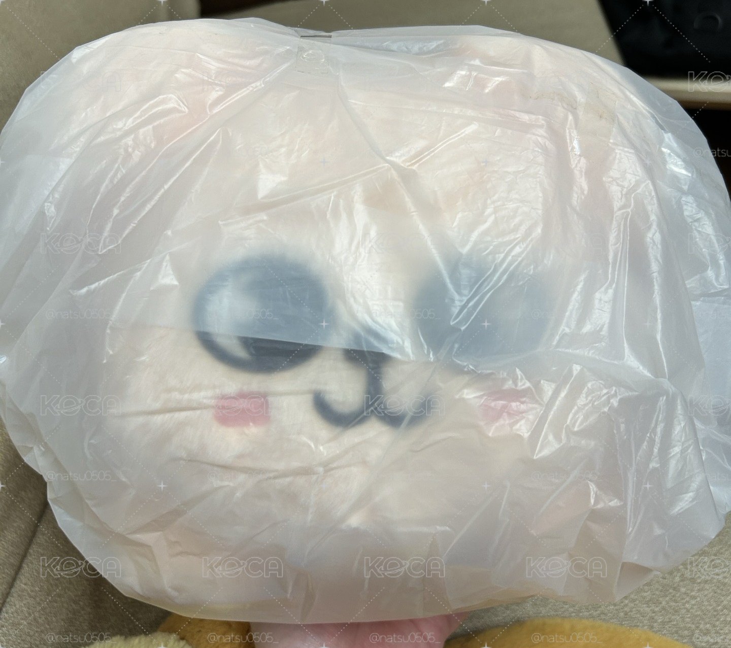 要不要帶一隻小狗回家