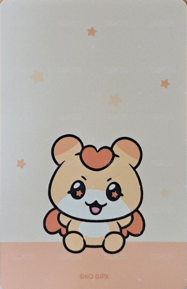 MIGHTEEZ 滿額卡 Wonder Room POP-UP 背面