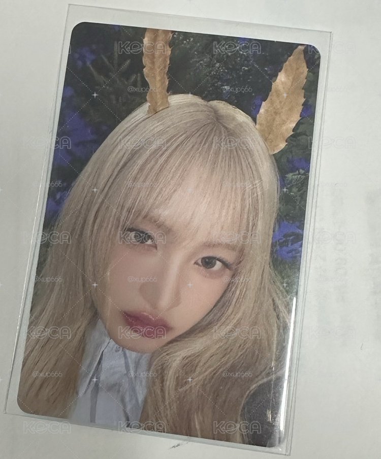 瑞秋栗