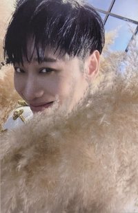 ROYAL Dark 專輯卡 