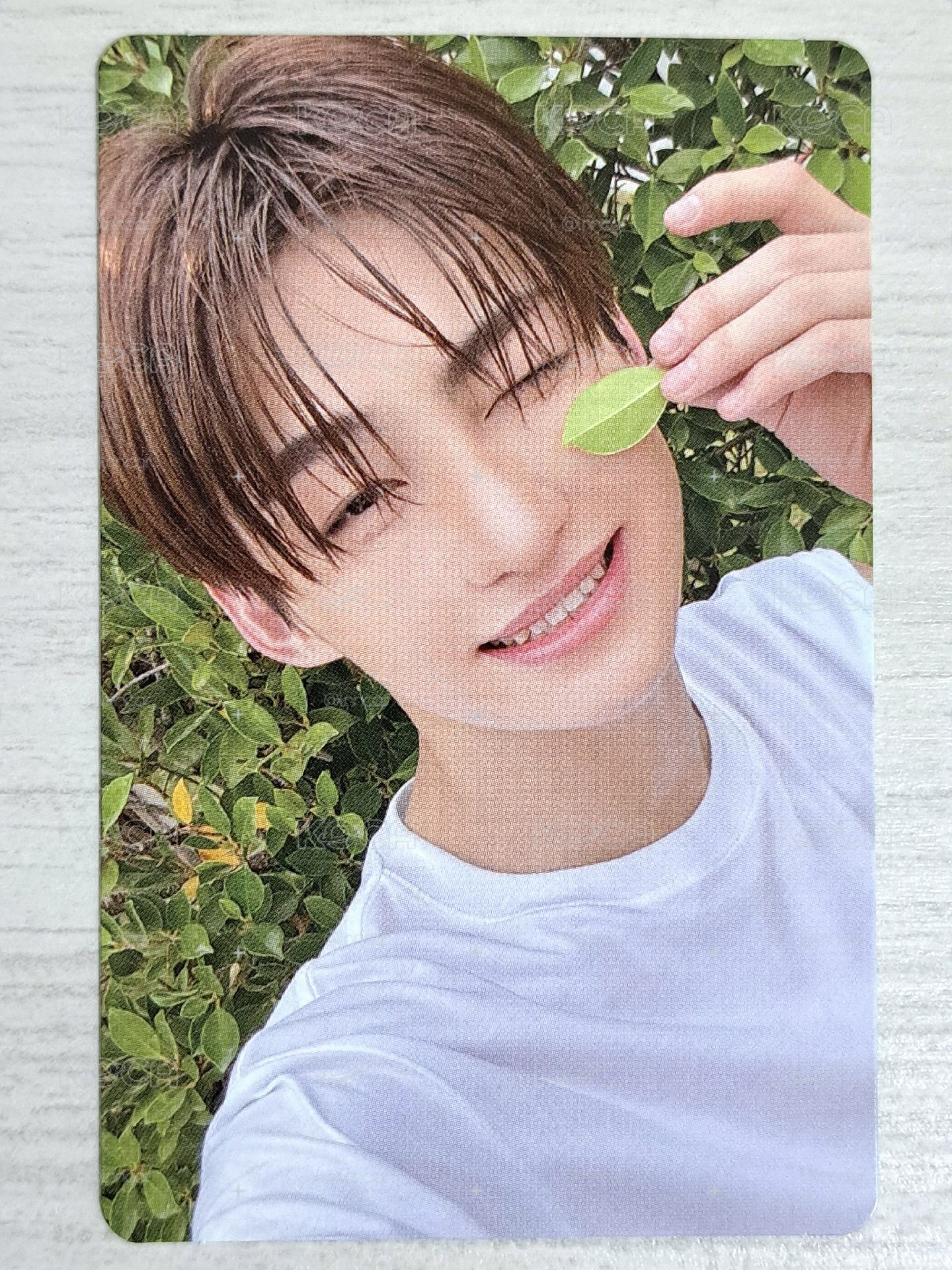 SUMMER BEAT! 專輯卡 志薰