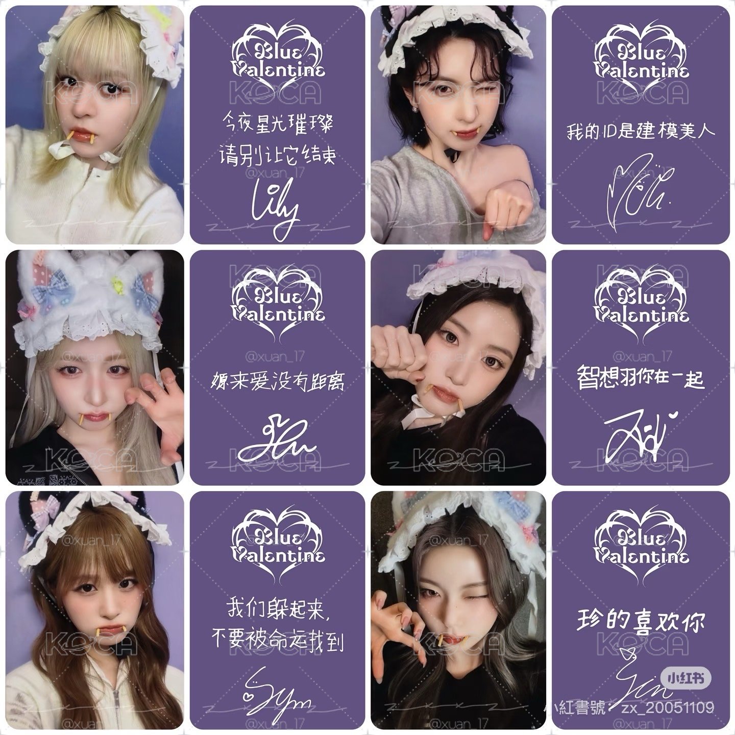 吸血鬼貓