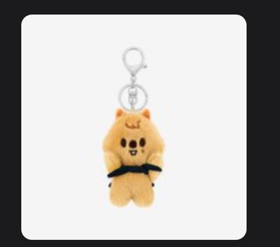 兩隻娃+2張小卡1200