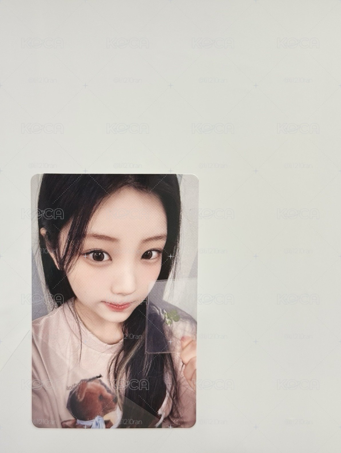WONHEE 單曲一輯 一直娛特典卡幸運草ver.