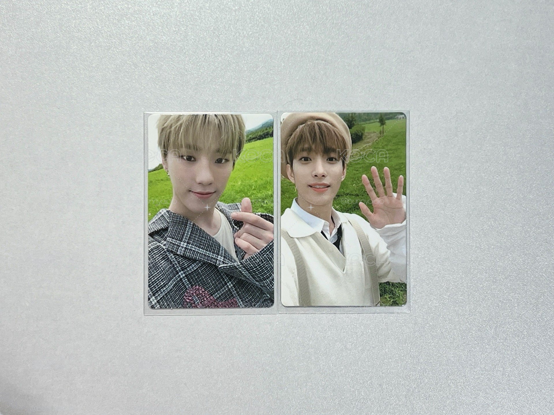 SVT｜氵王