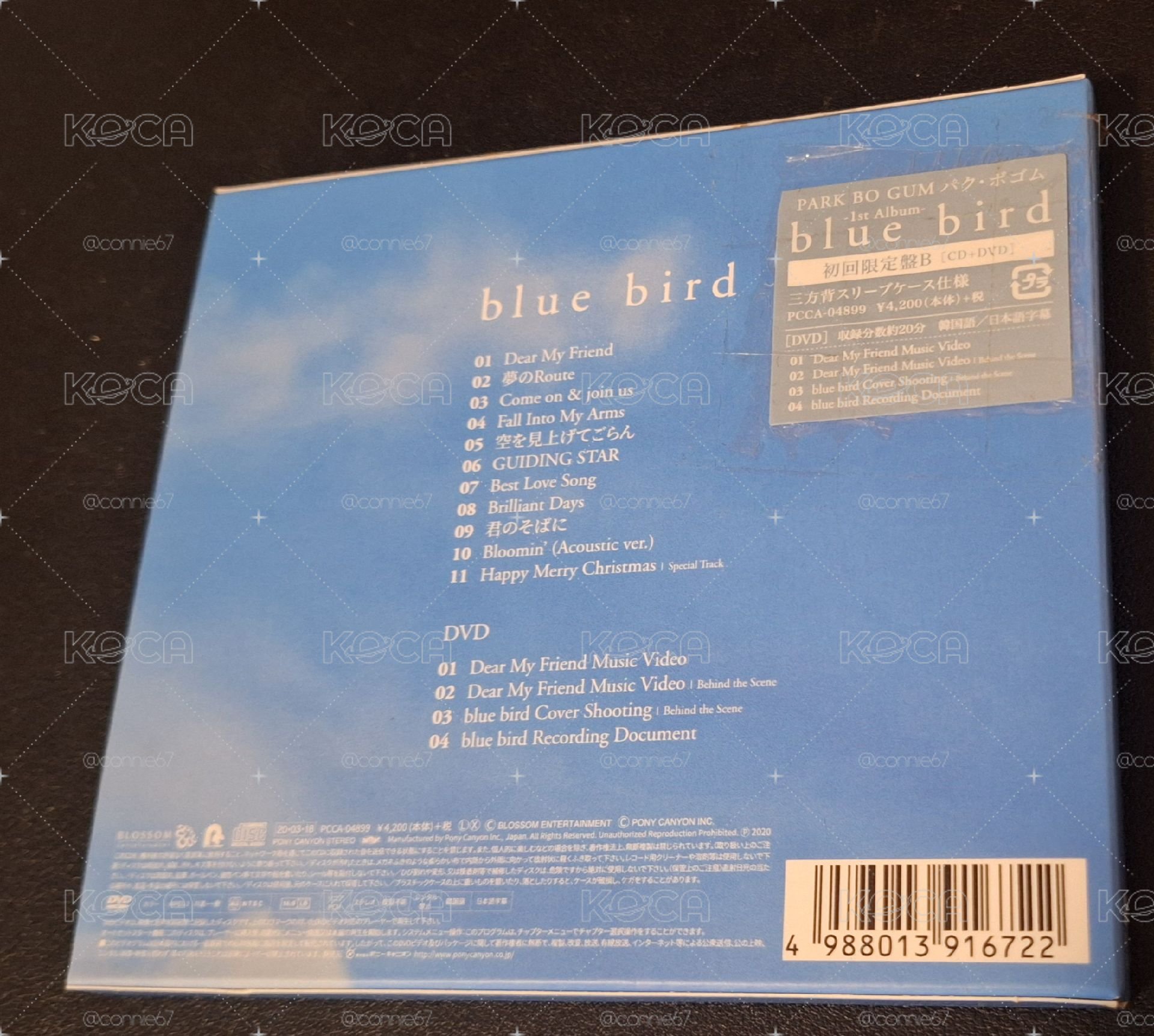 Blue Bird 