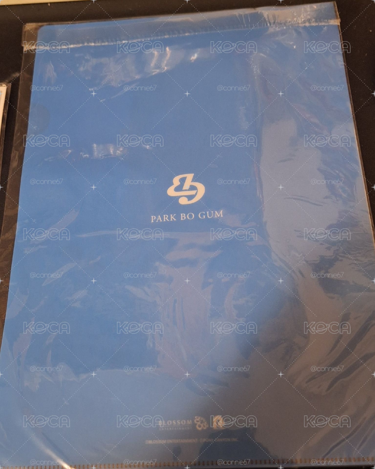 BLUE BIRD 資料夾