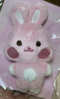 咚星(這批咚智齒剛拔完)