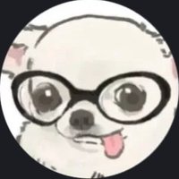 pp