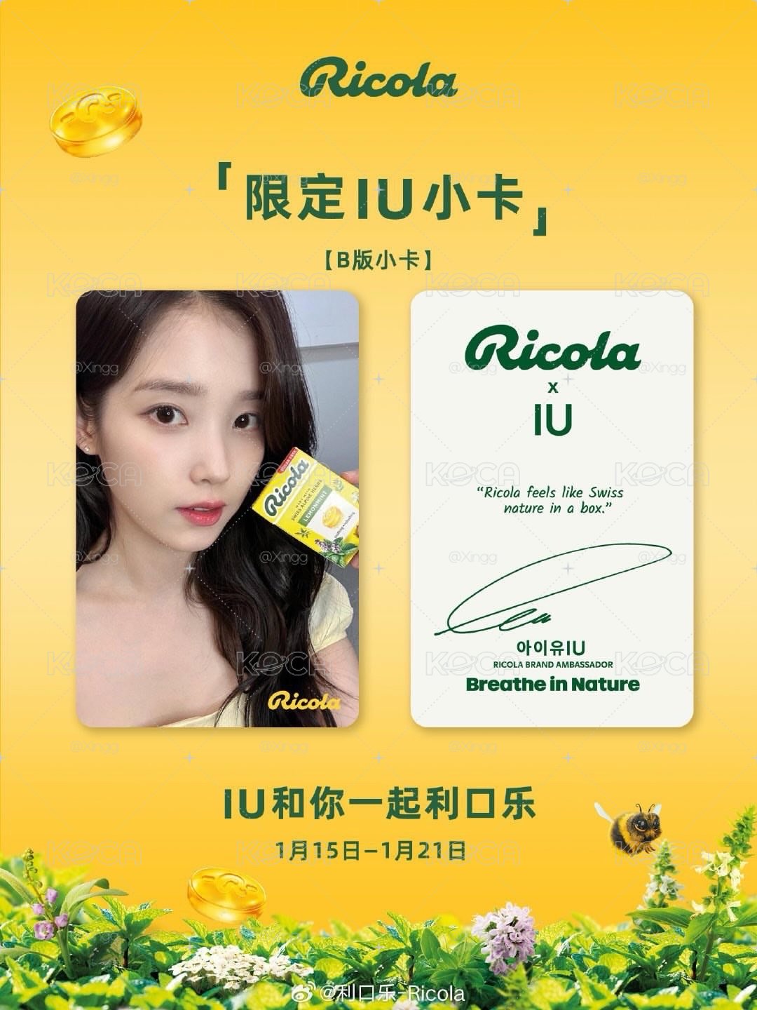 IU-利口樂小卡 預購（7-11款）