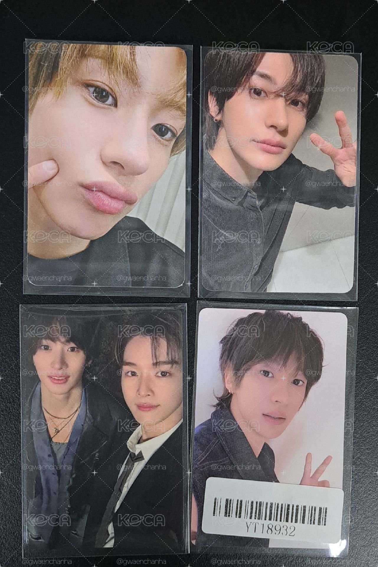 安卡×4