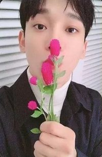 Dear my dear dear ver 專輯卡 