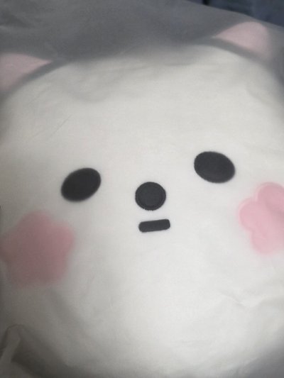 《現貨》代友售 全新未拆 XL+櫻花抱枕