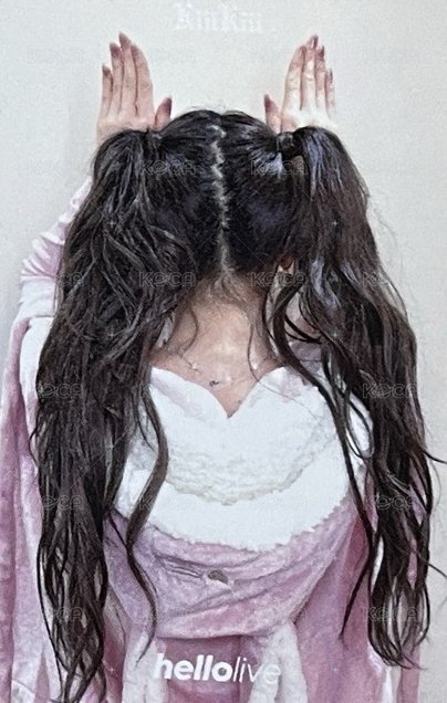 Delulu Pack hl 2.0 簽售卡 兔子毛毯 背面