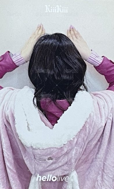 Delulu Pack hl 2.0 簽售卡 兔子毛毯 背面