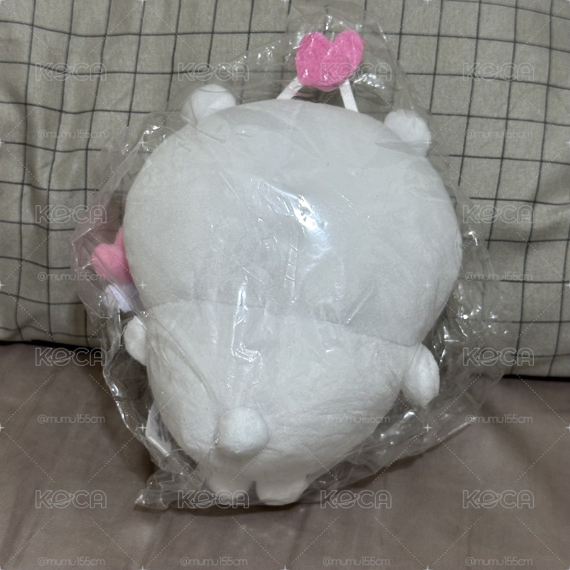愛心棒吉伊💗