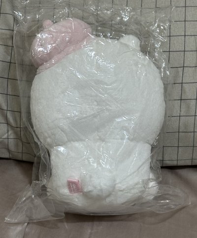 東京車站 貝雷帽吉伊🎀