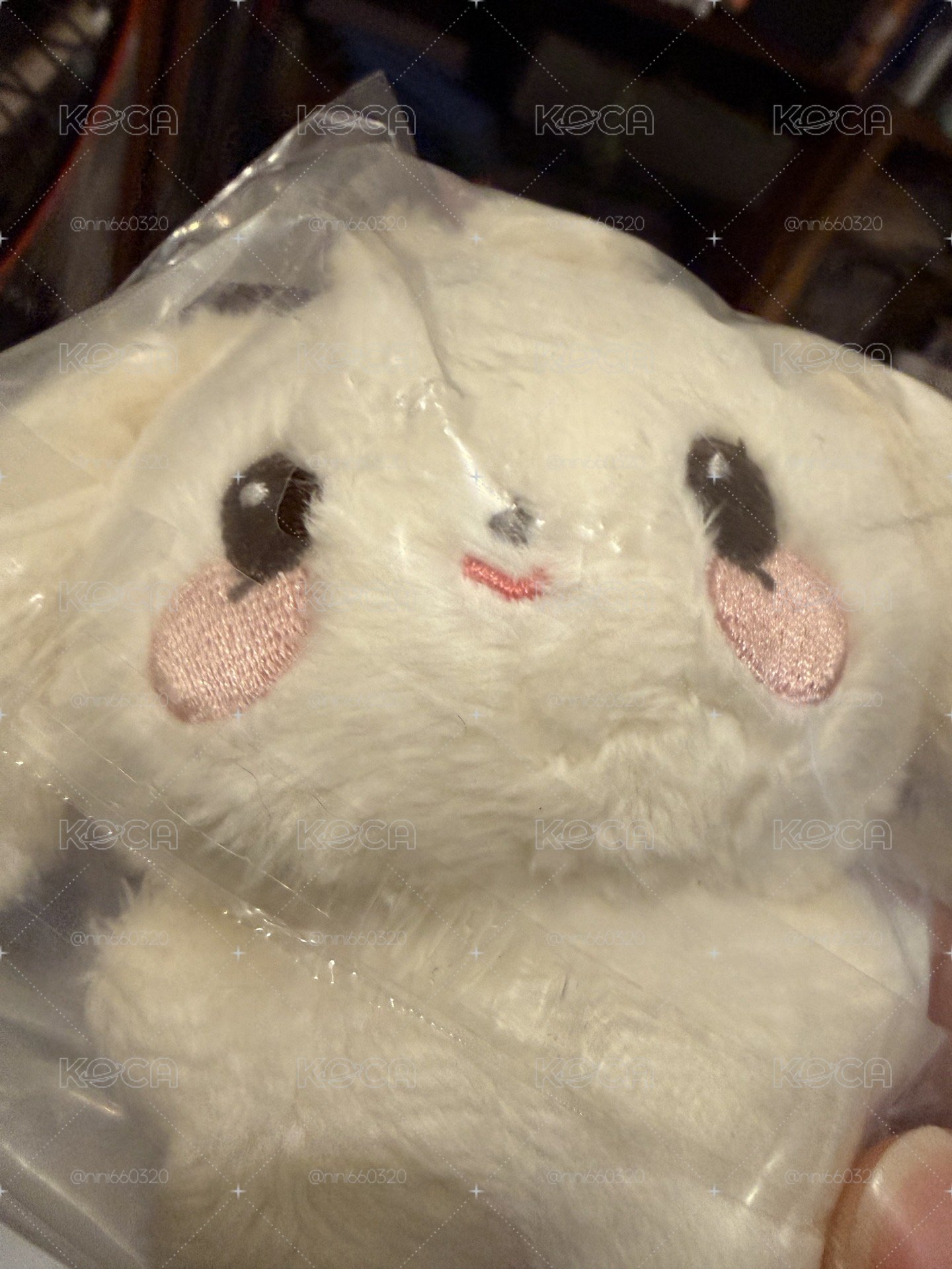 寶寶娃