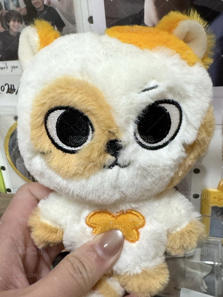 二代catbbi