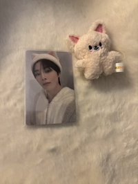 Hollo塔店 特典寅