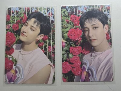 玫瑰花園燦🌷🐺 MAXIDENT bdm yes24