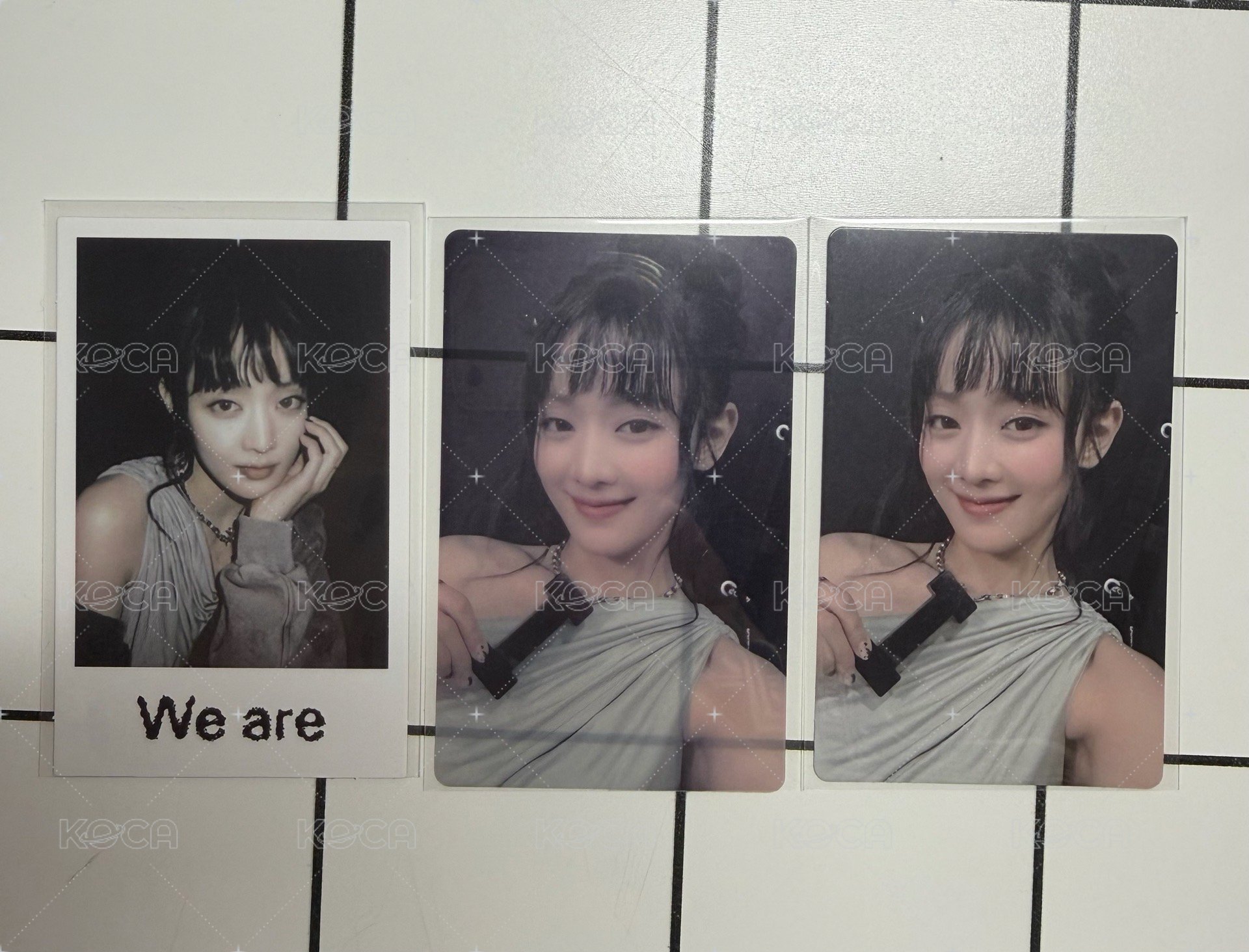 妮wvs預售