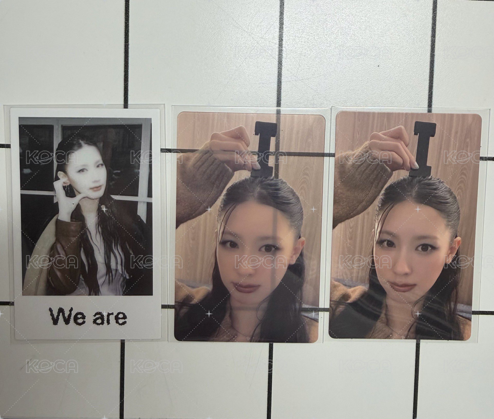 面wvs預售