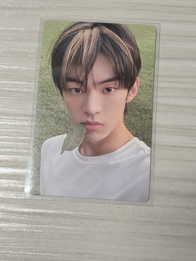 Tws 金道勳 迷二 小卡