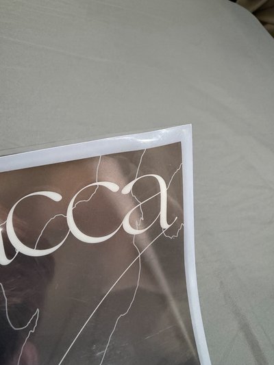 Seventeen 迷九空專 含透卡-JUN / PB-表演隊