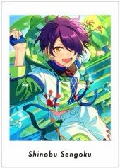 新V5花後 拍立得 