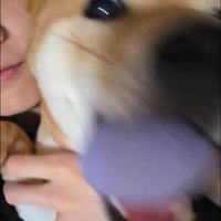 天氣是熱的心是彬彬的