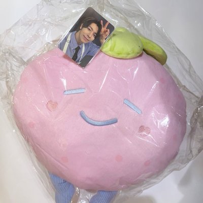 SJ 東海草莓抱枕