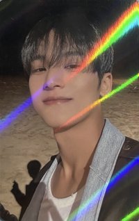 MINI10 kms 特典卡 蜜蜂狗