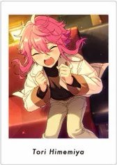 新V5花前 拍立得 