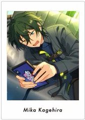 新V5花前 拍立得 