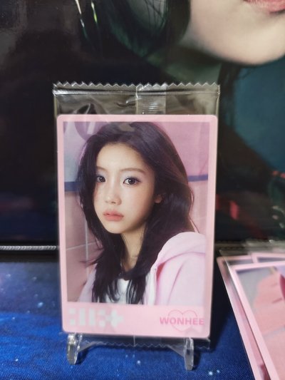 禮 餅乾卡 威化餅