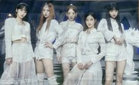 FEARLESS JP 日咖 預售 掛布海報 /掛毯