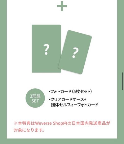 Cortis 迷二 日咖預售