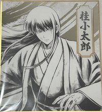 桂
