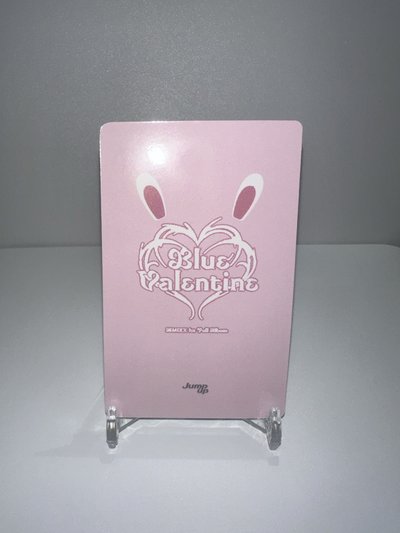 🐳 NMIXX 溫馨兔子嫄