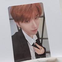 🦦19.99 wvs 預售特典