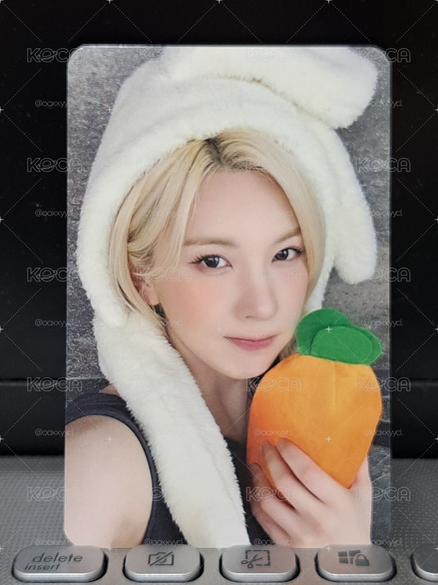 ms 胡蘿蔔裴