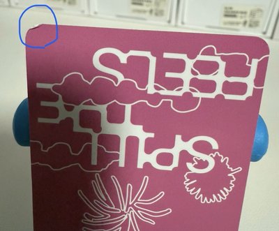 迷12克拉盤專卡（有損）（不當綁、可單帶）