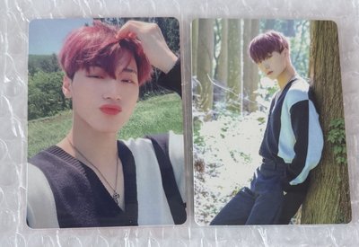 日專 Dreamers 紫髮傘