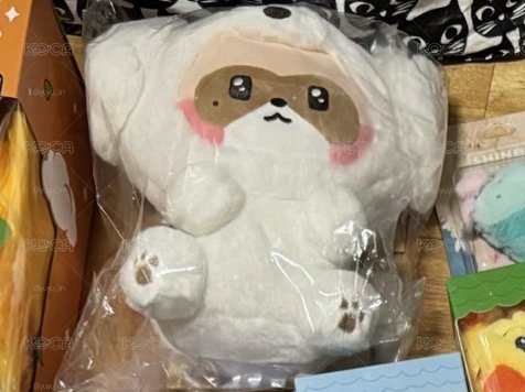 現貨全新