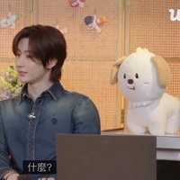 江南區路邊小石子