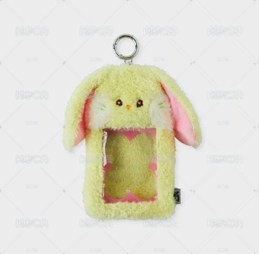 LINE FRIENDS快閃 卡套 (組) bunini 造型 