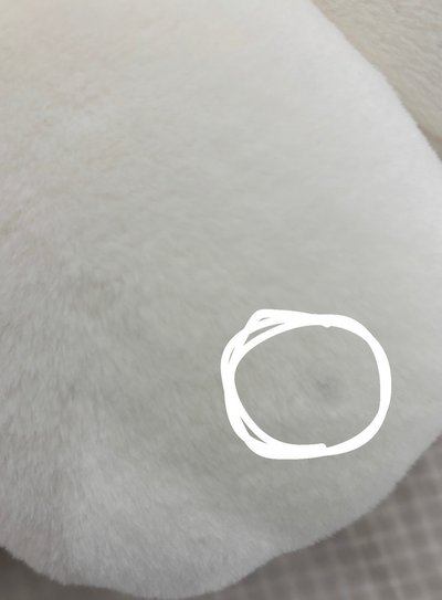 Follow Again 抱枕 太陽花抱枕