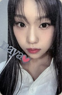 早鳥會員禮 會員禮卡 