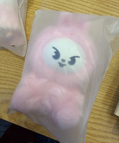 ［線下現貨］SKZ 六期飯咪 粉紅皮娃娃